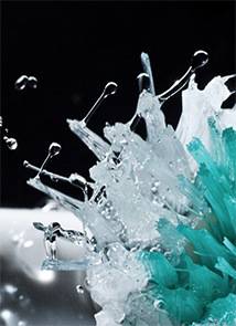 Coffs City Denture Clinic - Internet Find 2