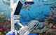 Blue Sky Dental Care - thumb 2
