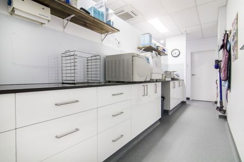 Dazzling Dental Surgery - Internet Find 2