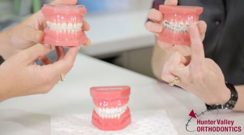 Yang Danny Dr – Specialist Orthodontist - Internet Find 0