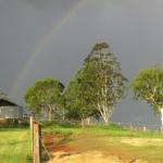 CBR Equine Cottage