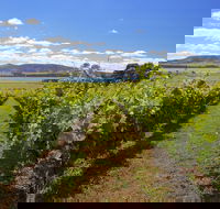 Riversdale Estate Cottages - Internet Find