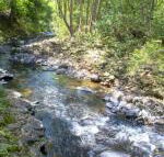 Tallaringa Views - Internet Find