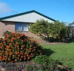 Lemontree Cottage - Internet Find
