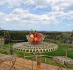 Beths Cottage Roaring 40s - Internet Find