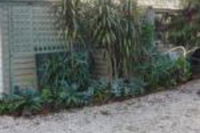 Cobden Crest Cottages