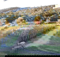 Twisted Gum Cottage - Internet Find