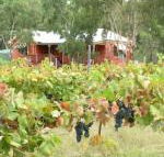 Fergies Hill Spa Cottage at Granite Ridge Wines - Internet Find