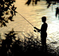 Wooli River Lodges - Internet Find