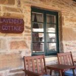 Lavender Cottage B  B