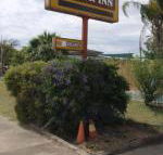 Golden West Motor Inn - Internet Find