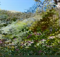 Copeland Manse - Internet Find