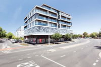 Spacious Urban Oasis in Central Location