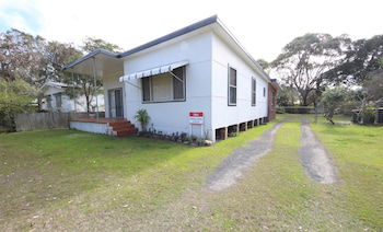 Willi Willi NSW Internet Find