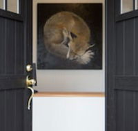 Fox on the Run - Motel Kilmore - Internet Find
