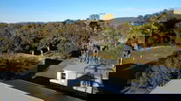 Camp Elim