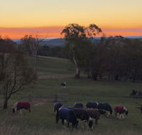 High Country Trail Rides  Farm Stay - Internet Find