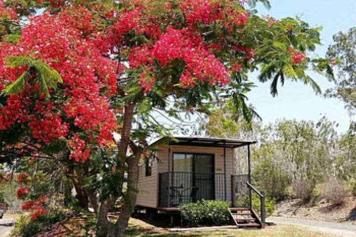 Mt Larcom QLD Internet Find
