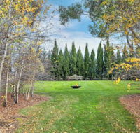 Orchards at Spring Vale Farm - Internet Find
