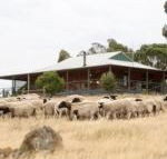 Gilgraves Vineyard Farmstay - Internet Find