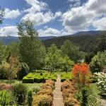 Delderfield Cottages