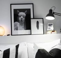 105flora Cozy Stay Prahran Lively Neighbour - Internet Find