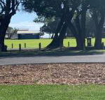 Yaringa cottage...by the sea - Internet Find