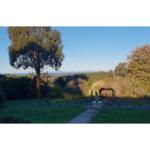 Ripplebrook Cottage