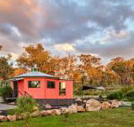 Zuny Yurt - Internet Find