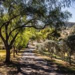 Capers Guesthouse Barn  Cottage
