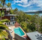 Kingfisher on Hamilton Island - Internet Find