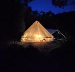 Glamping at Zeehan Bush Camp - Internet Find