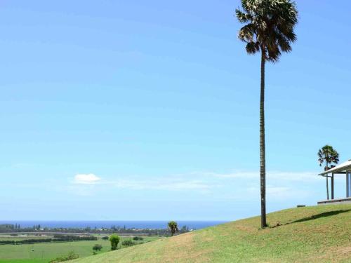 Rose Valley NSW Internet Find