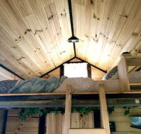 Big Tiny Dale View Tiny House - Internet Find