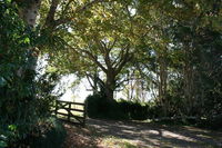 Business in Maleny QLD Internet Find Internet Find