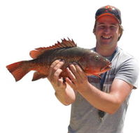 Noosa Fishing  Crab Adventures - Internet Find