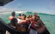 Noosa Thriller - thumb 1