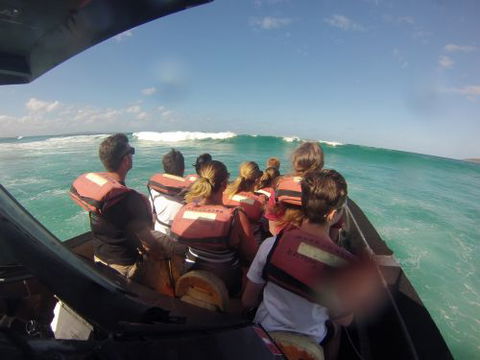 Noosa Thriller - Internet Find 1
