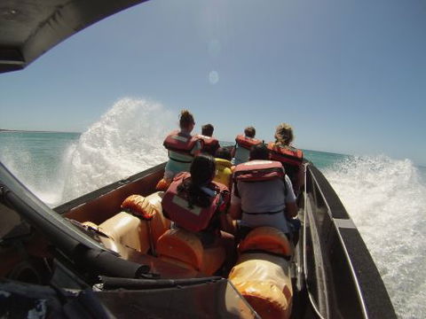Noosa Thriller - Internet Find 2