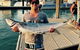 Whitsunday Fishing Charters - thumb 4