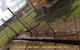 Hydro Excavac Pty Ltd - thumb 11