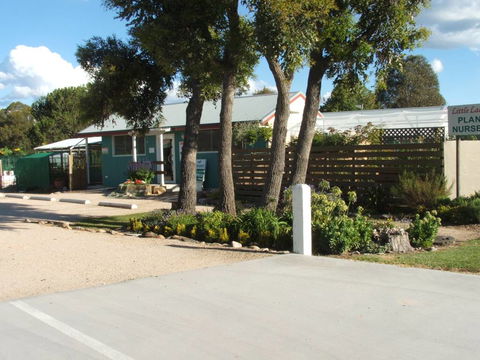 Little Ladybird Plant Nursery - Internet Find 0