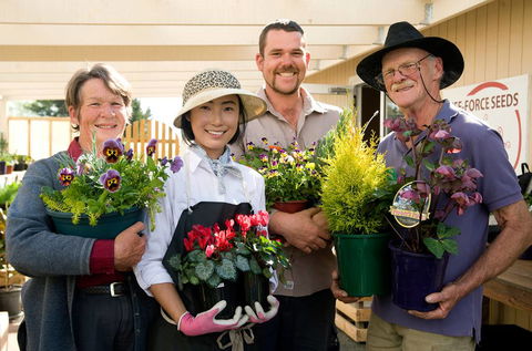 Little Ladybird Plant Nursery - Internet Find 2