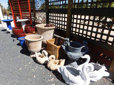 Little Ladybird Plant Nursery - Internet Find 3