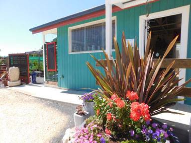 Little Ladybird Plant Nursery - Internet Find 4