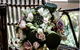 Armidale Market Fresh Florist - thumb 2