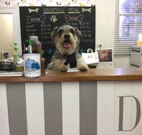 Doggie Barber - Internet Find
