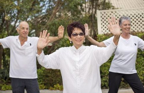 Palmview Village - Internet Find 1