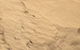 Blue Water Landscape Supplies - thumb 0