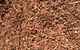 Blue Water Landscape Supplies - thumb 3
